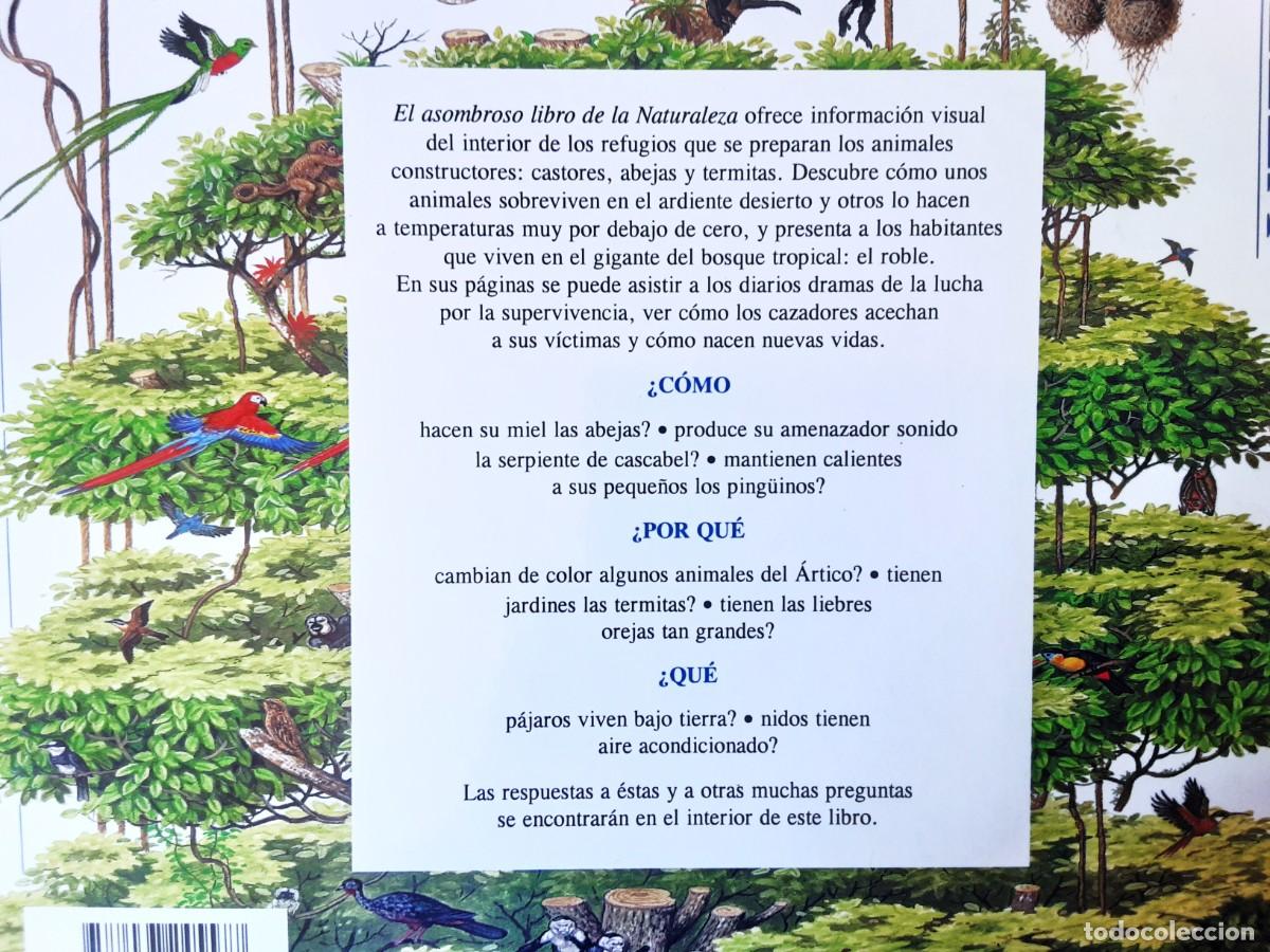 Libros de segunda mano: EL ASOMBROSO LIBRO DE LA NATURALEZA ALTEA - Foto 3