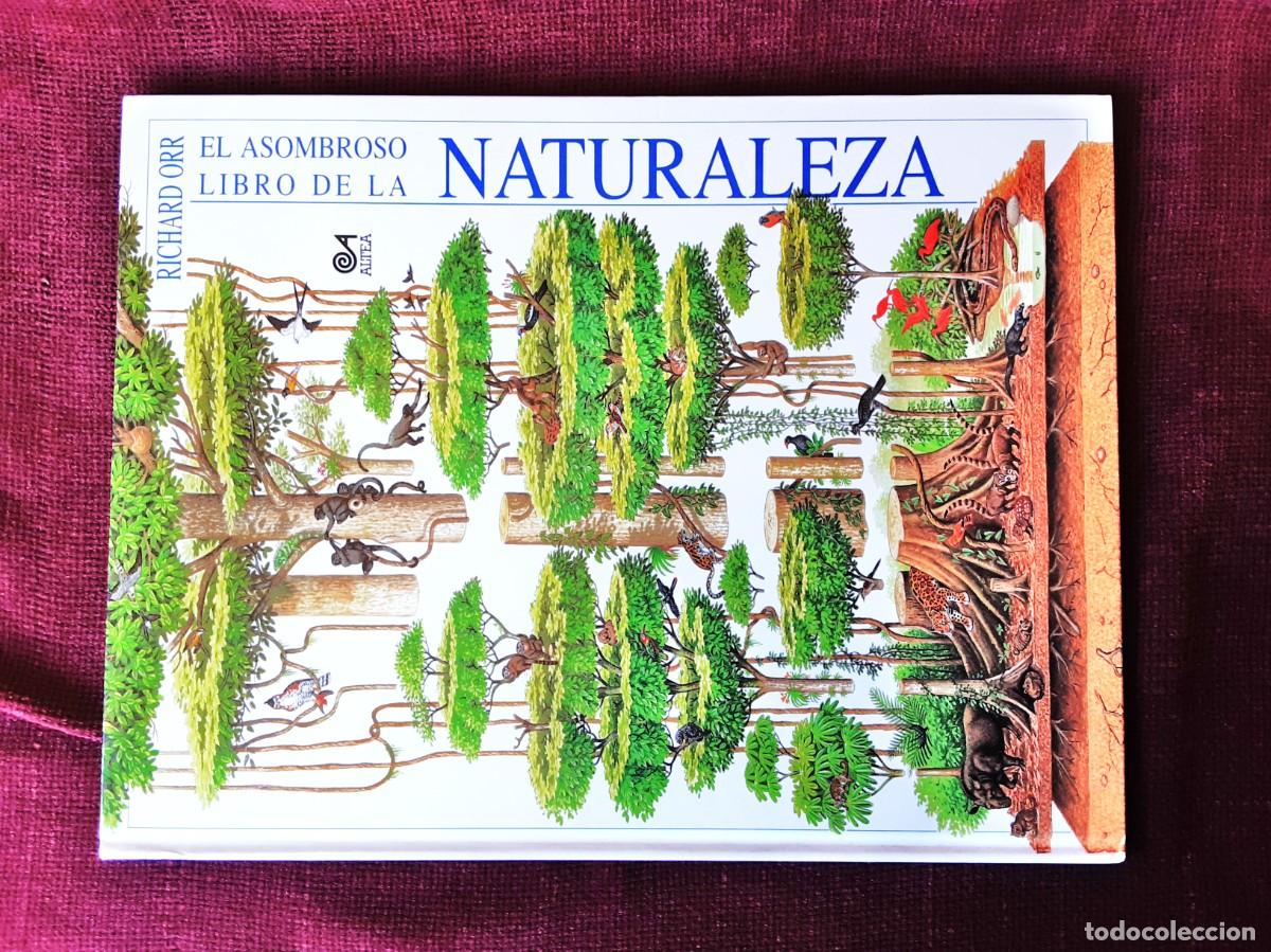 Libros de segunda mano: EL ASOMBROSO LIBRO DE LA NATURALEZA ALTEA - Foto 4