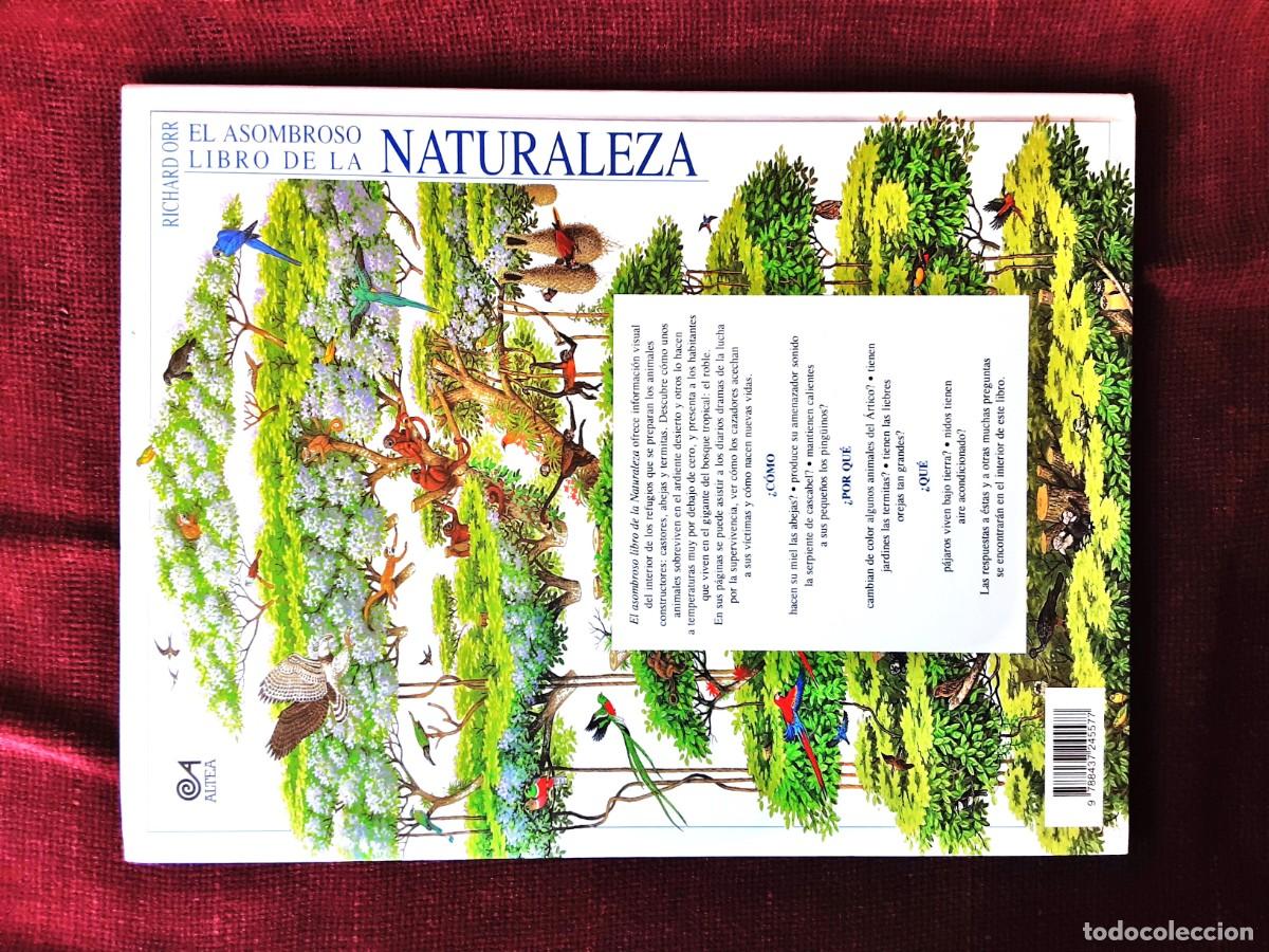 Libros de segunda mano: EL ASOMBROSO LIBRO DE LA NATURALEZA ALTEA - Foto 5