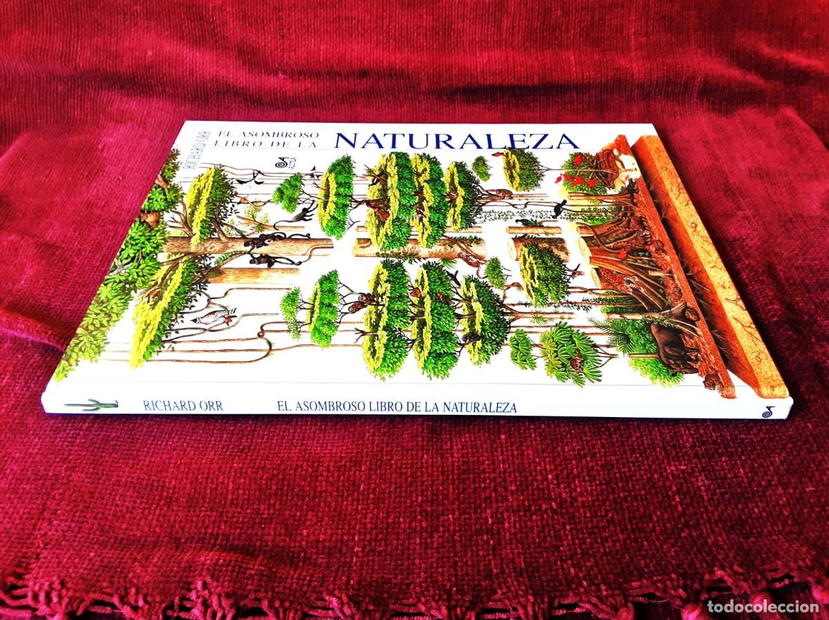 Libros de segunda mano: EL ASOMBROSO LIBRO DE LA NATURALEZA ALTEA - Foto 6