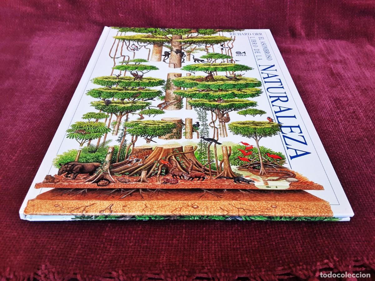 Libros de segunda mano: EL ASOMBROSO LIBRO DE LA NATURALEZA ALTEA - Foto 8