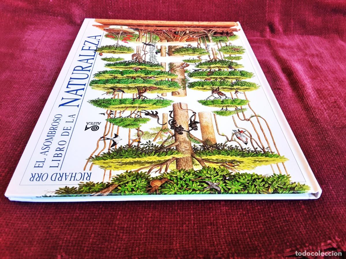 Libros de segunda mano: EL ASOMBROSO LIBRO DE LA NATURALEZA ALTEA - Foto 9
