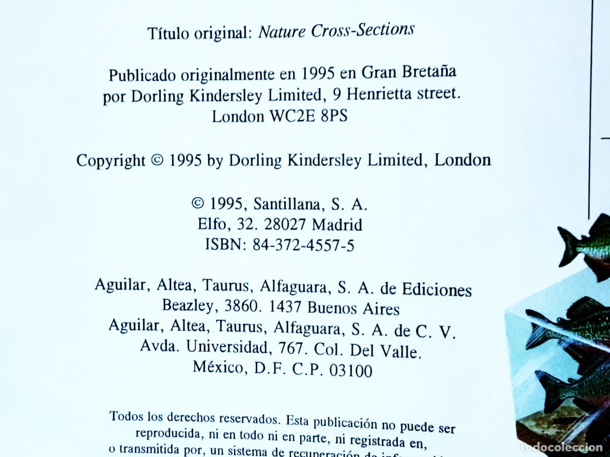 Libros de segunda mano: EL ASOMBROSO LIBRO DE LA NATURALEZA ALTEA - Foto 11
