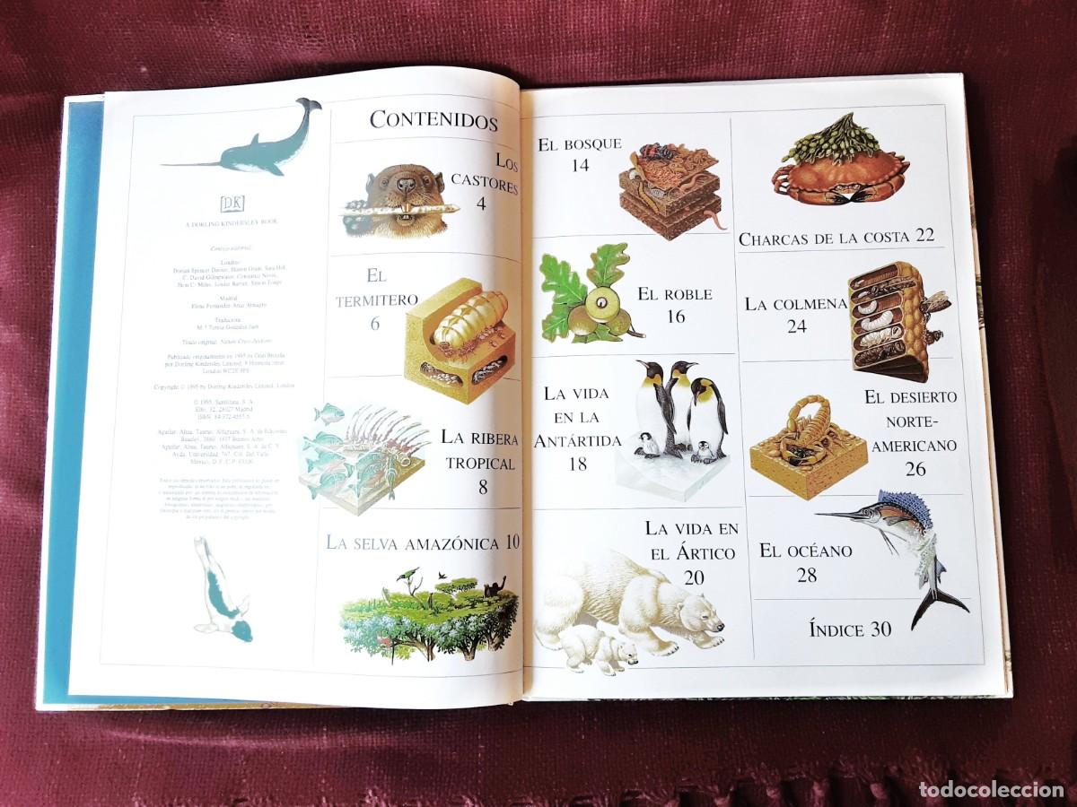Libros de segunda mano: EL ASOMBROSO LIBRO DE LA NATURALEZA ALTEA - Foto 13