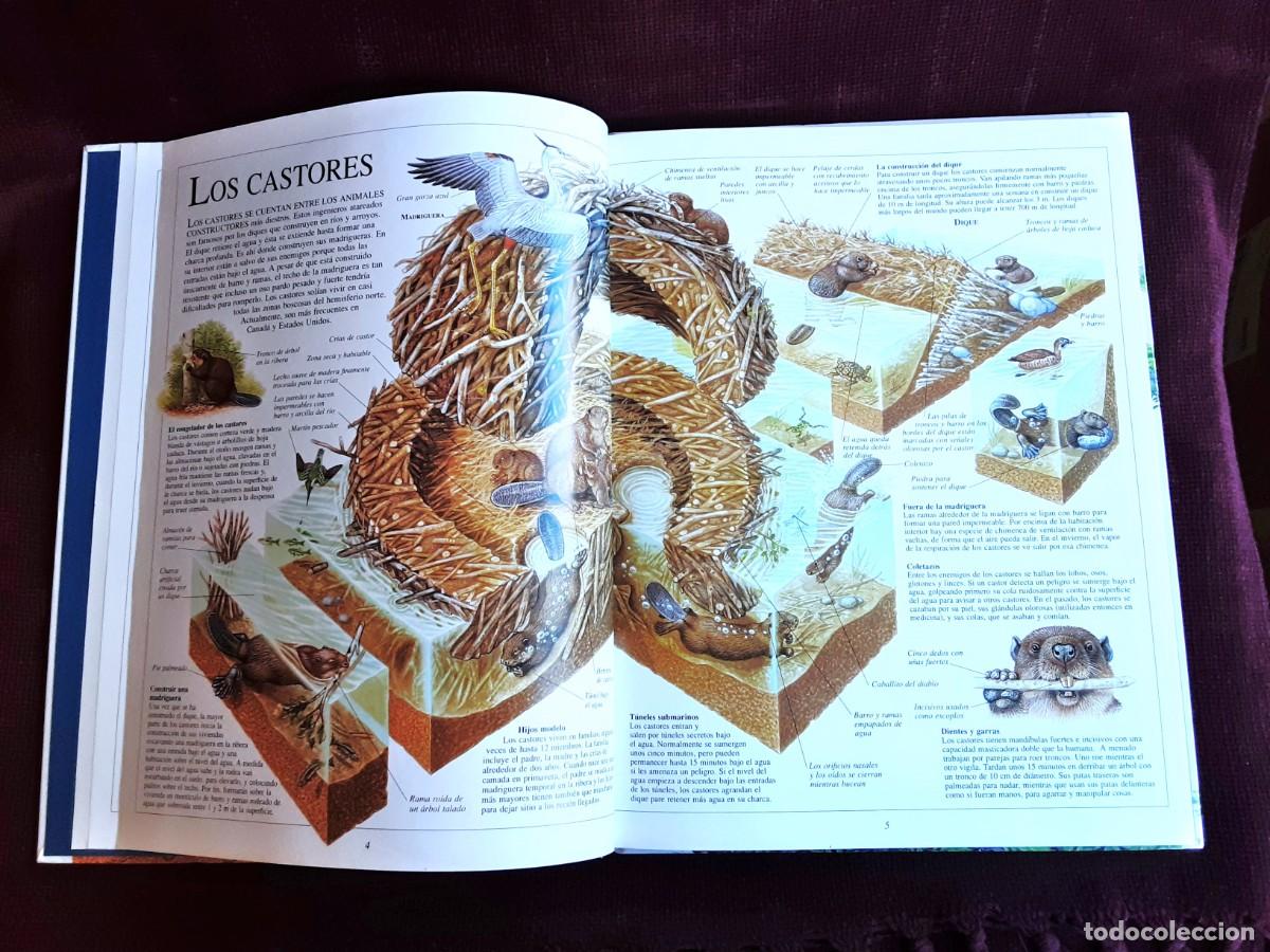 Libros de segunda mano: EL ASOMBROSO LIBRO DE LA NATURALEZA ALTEA - Foto 15