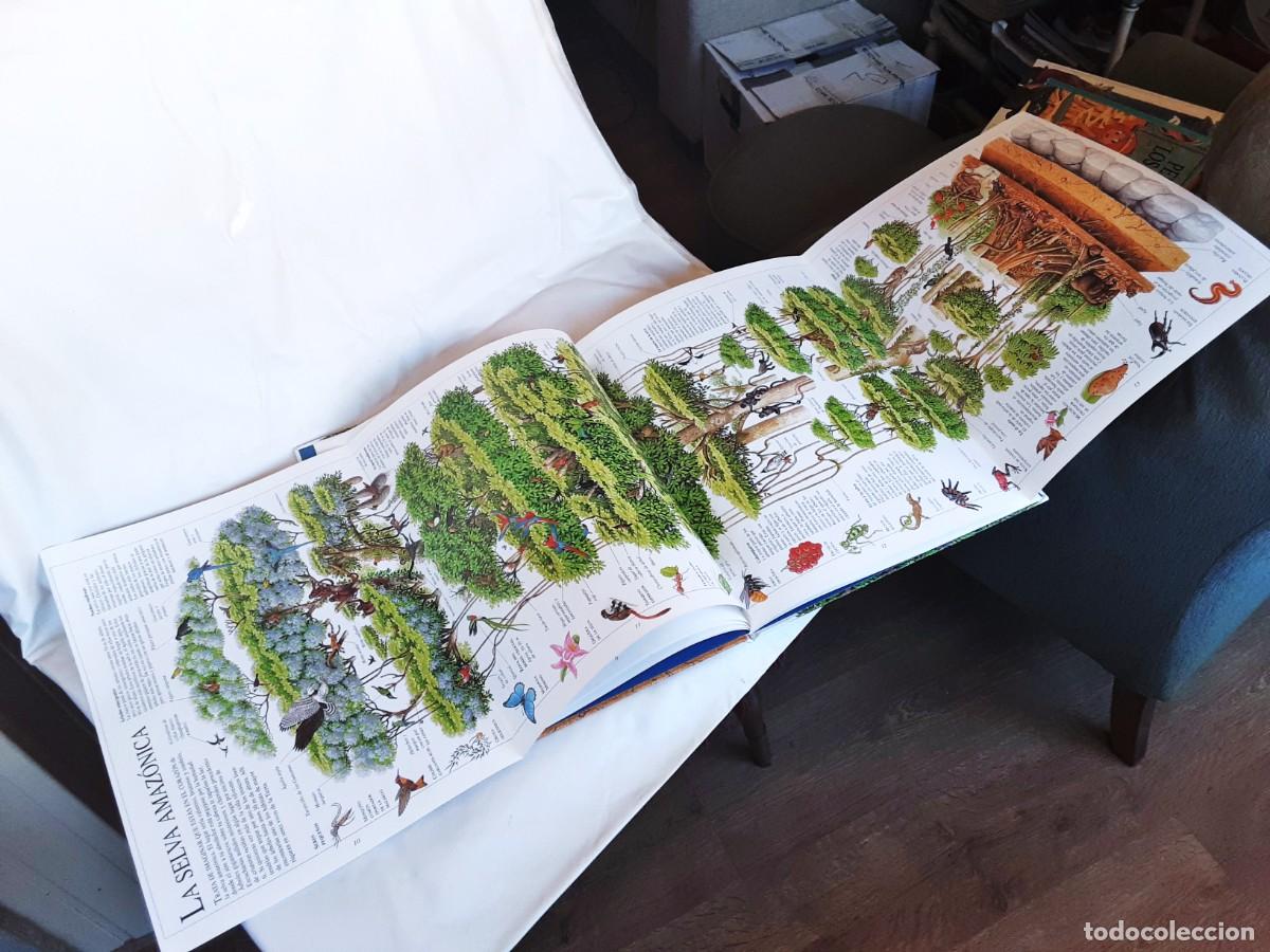 Libros de segunda mano: EL ASOMBROSO LIBRO DE LA NATURALEZA ALTEA - Foto 16