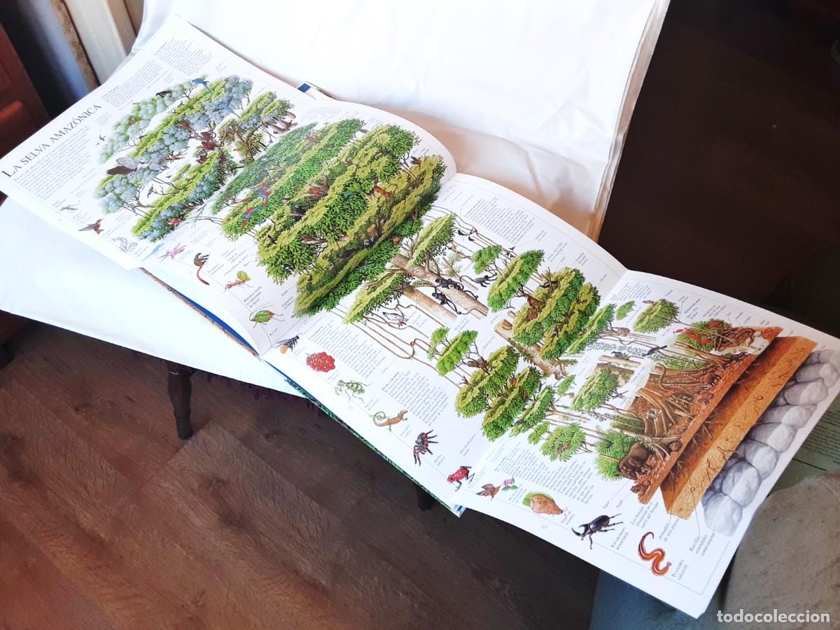 Libros de segunda mano: EL ASOMBROSO LIBRO DE LA NATURALEZA ALTEA - Foto 17
