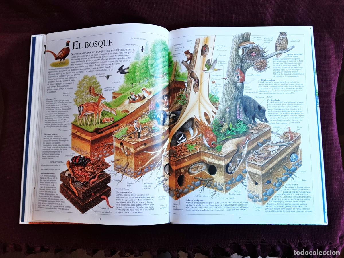 Libros de segunda mano: EL ASOMBROSO LIBRO DE LA NATURALEZA ALTEA - Foto 19