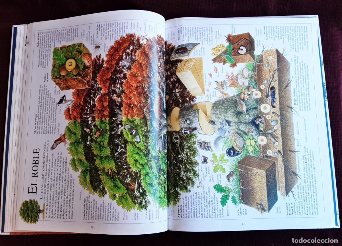 Libros de segunda mano: EL ASOMBROSO LIBRO DE LA NATURALEZA ALTEA - Foto 20