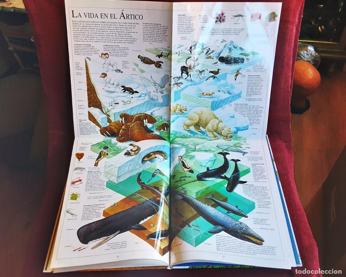 Libros de segunda mano: EL ASOMBROSO LIBRO DE LA NATURALEZA ALTEA - Foto 21
