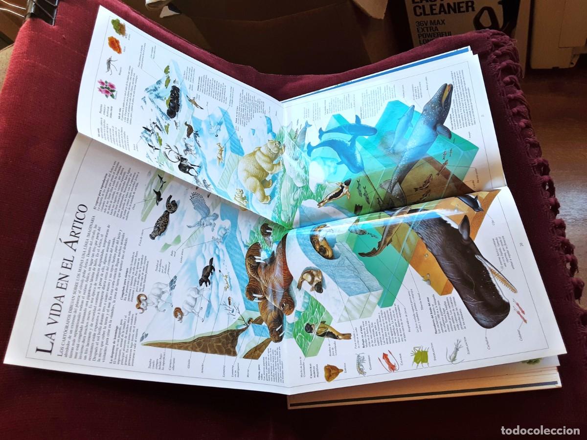 Libros de segunda mano: EL ASOMBROSO LIBRO DE LA NATURALEZA ALTEA - Foto 22