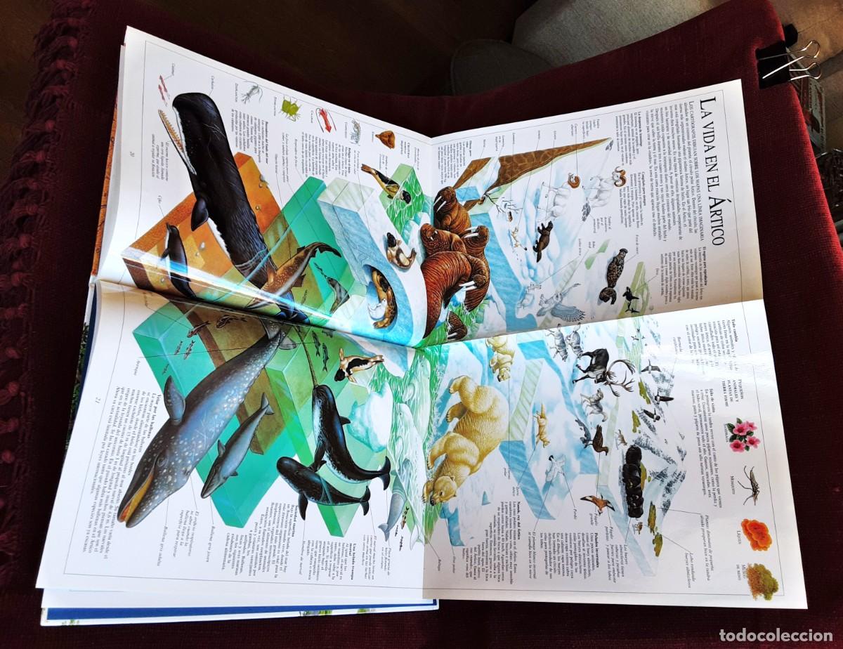 Libros de segunda mano: EL ASOMBROSO LIBRO DE LA NATURALEZA ALTEA - Foto 23