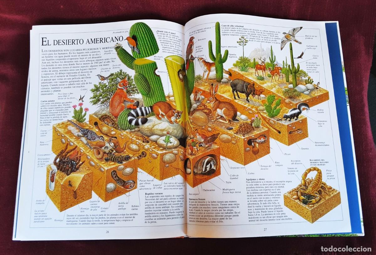 Libros de segunda mano: EL ASOMBROSO LIBRO DE LA NATURALEZA ALTEA - Foto 26