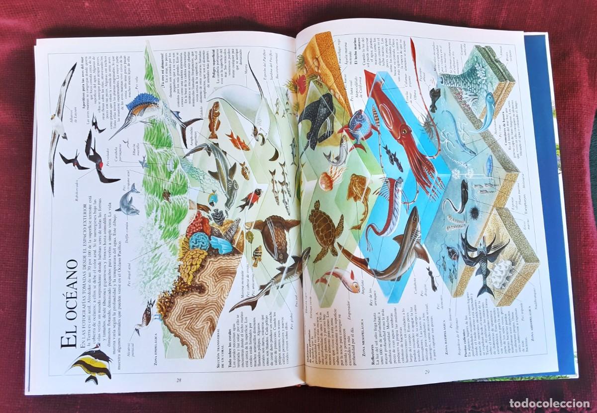 Libros de segunda mano: EL ASOMBROSO LIBRO DE LA NATURALEZA ALTEA - Foto 27