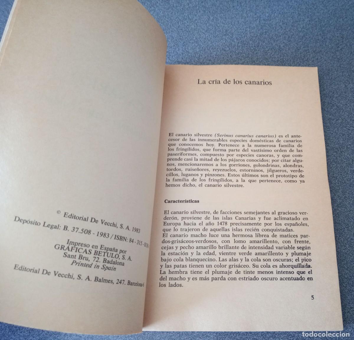 Libros de segunda mano: Los Canarios Mario Rota - Foto 4