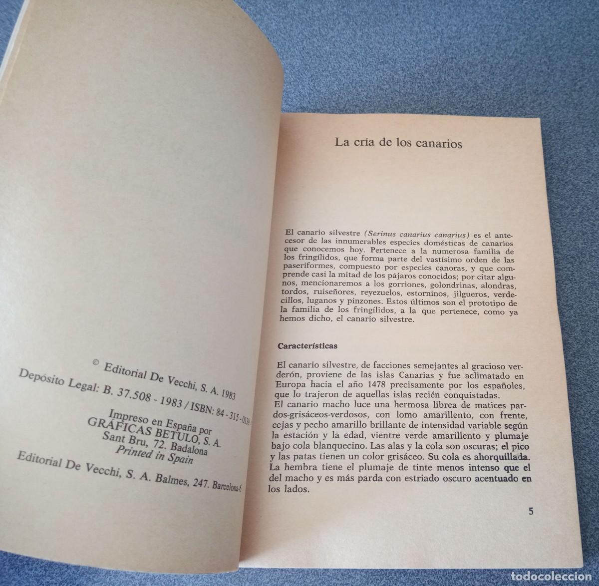 Libros de segunda mano: Los Canarios Mario Rota - Foto 5