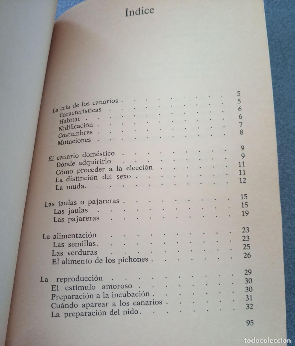 Libros de segunda mano: Los Canarios Mario Rota - Foto 6