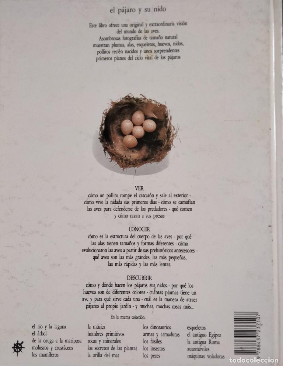 Libros de segunda mano: El p&aacute;jaro y su nido.Biblioteca Visual Altea.1990. - Foto 2