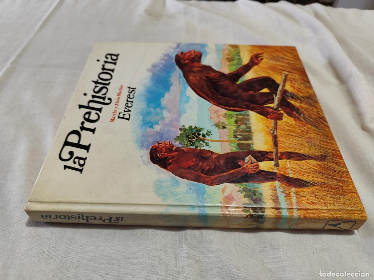 Libros de segunda mano: LA PREHISTORIA / VVAA / SUX 13 / EVEREST - Foto 1