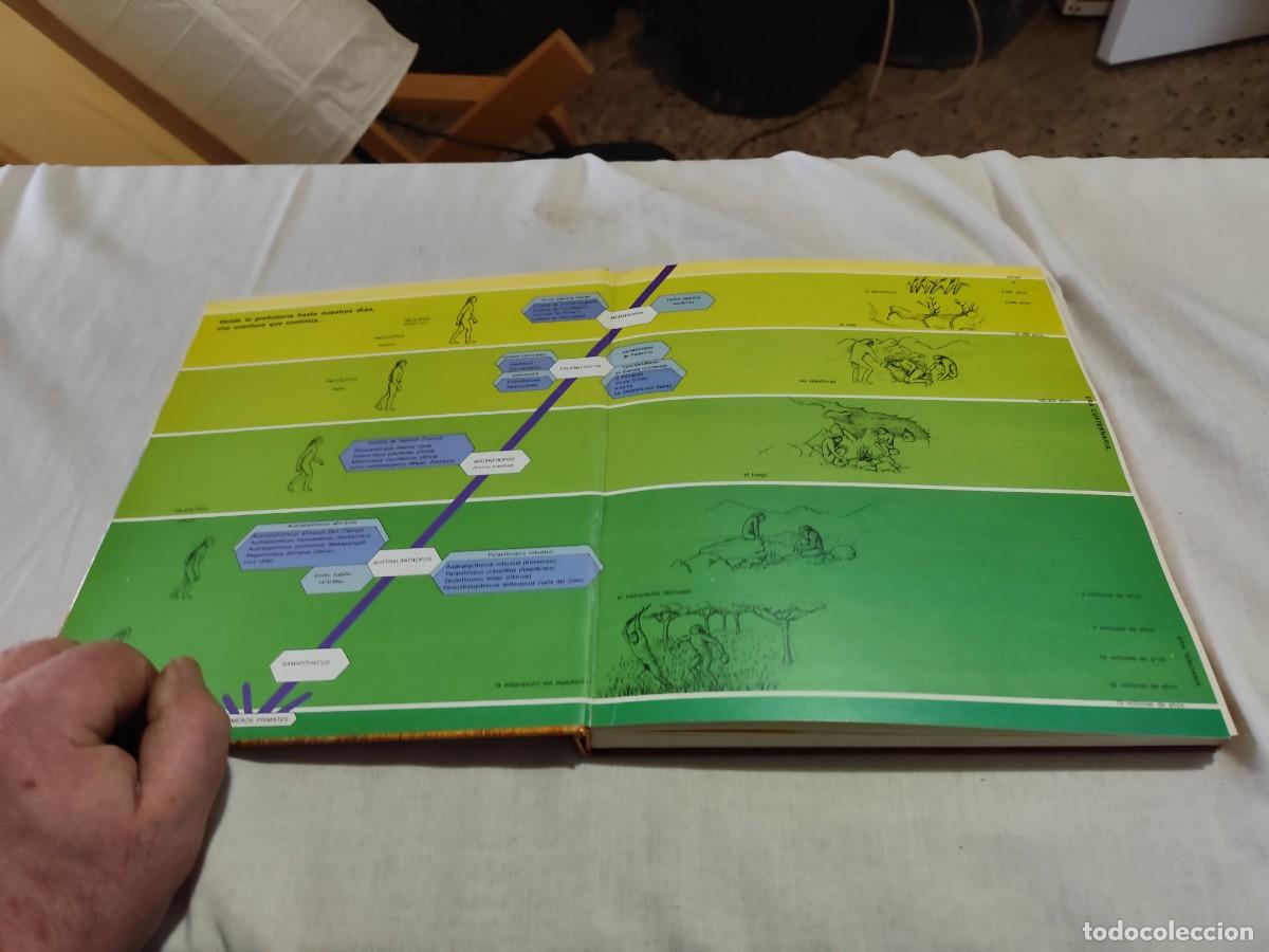 Libros de segunda mano: LA PREHISTORIA / VVAA / SUX 13 / EVEREST - Foto 3
