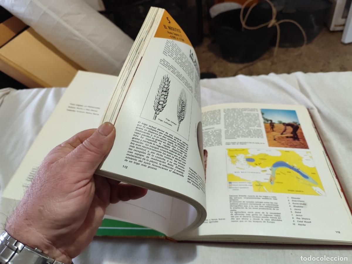 Libros de segunda mano: LA PREHISTORIA / VVAA / SUX 13 / EVEREST - Foto 13