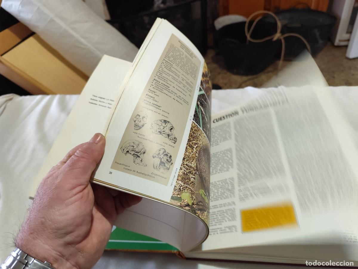 Libros de segunda mano: LA PREHISTORIA / VVAA / SUX 13 / EVEREST - Foto 22