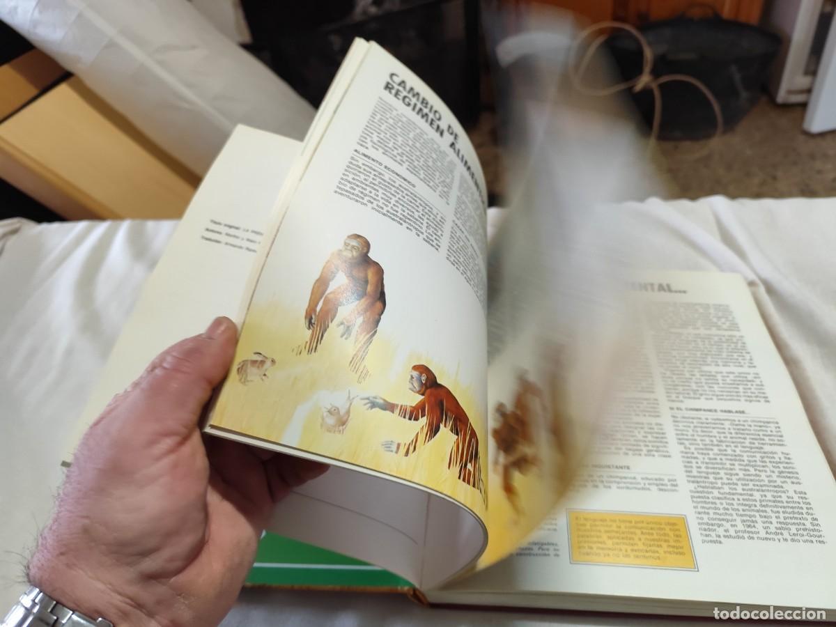 Libros de segunda mano: LA PREHISTORIA / VVAA / SUX 13 / EVEREST - Foto 23