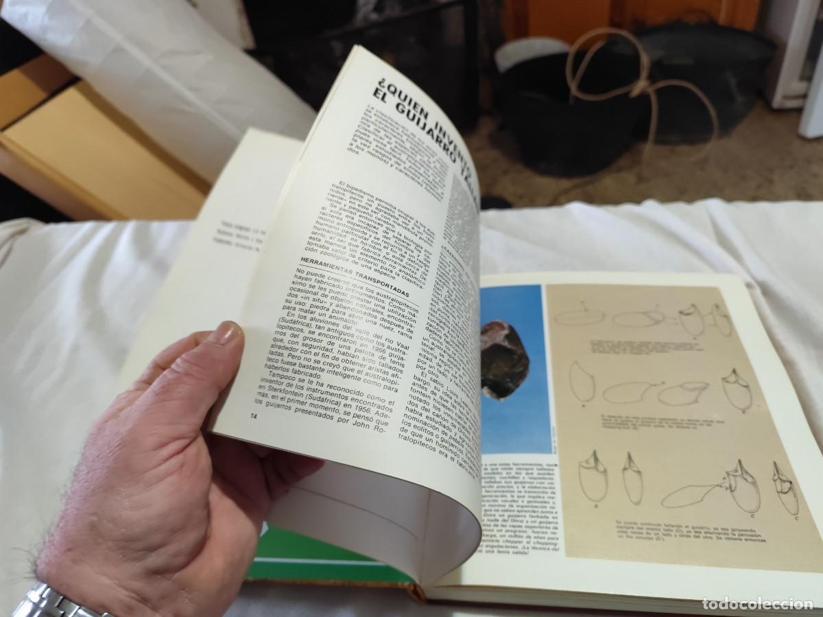 Libros de segunda mano: LA PREHISTORIA / VVAA / SUX 13 / EVEREST - Foto 24