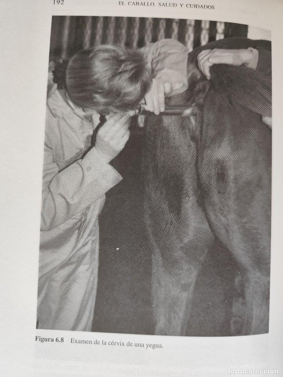 Libros de segunda mano: EL CABALLO. SALUD Y CUIDADOS. - Powell, D.G. - Jackson, S.G. - Foto 6
