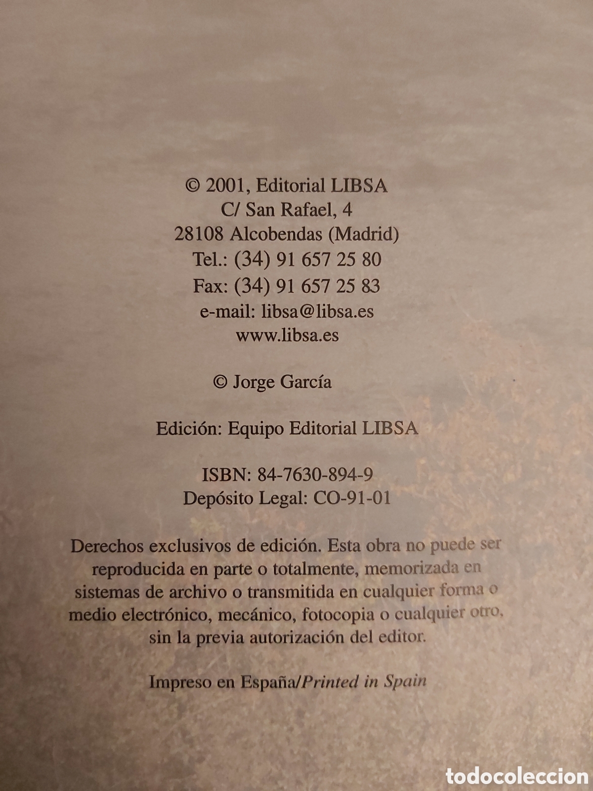 Libros de segunda mano: QUELA LIBRO. PESCA FACIL Y PRACTICA JORGE GARCIA 2001 EDITORIAL LIBSA - Foto 4