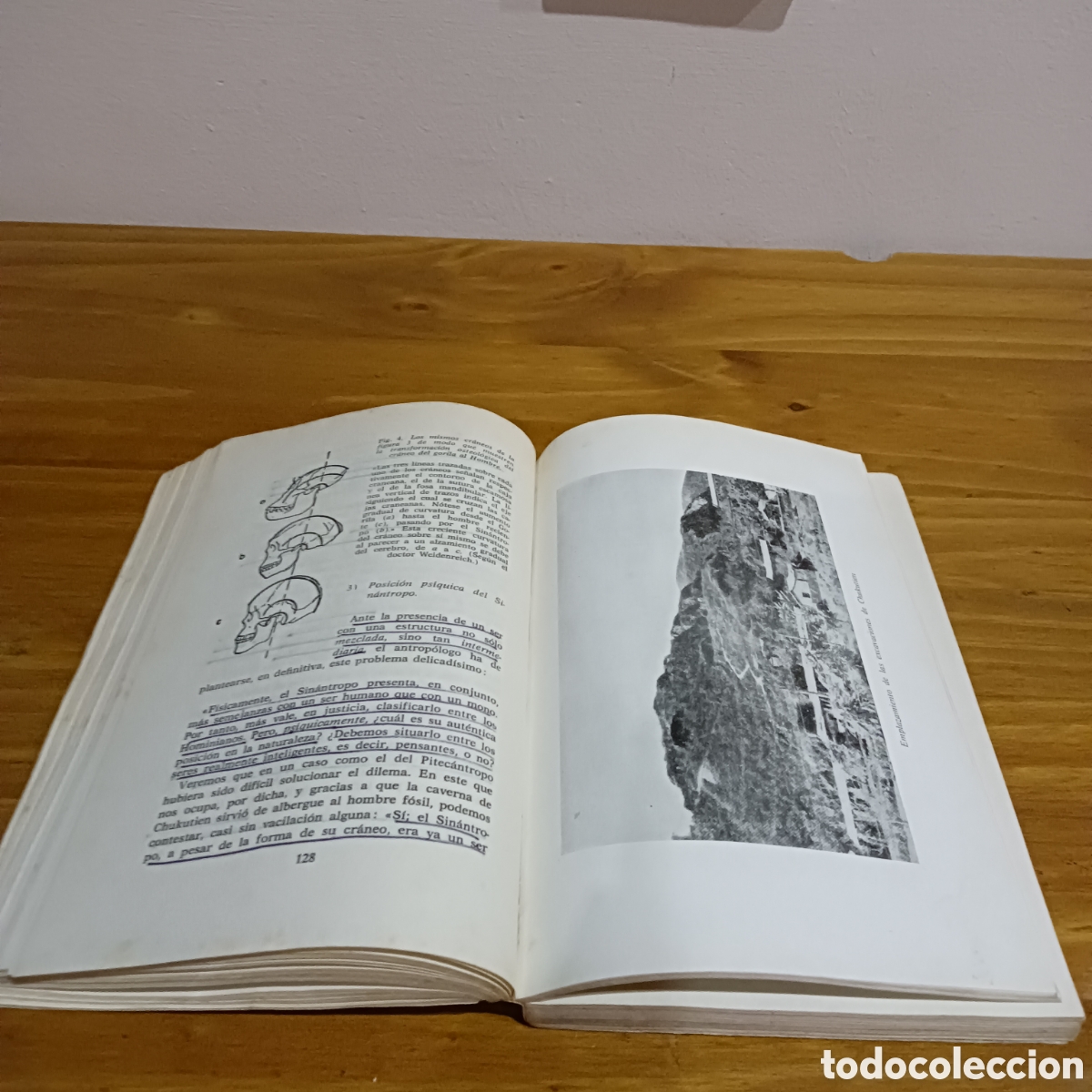 Libros de segunda mano: La aparici&oacute;n del hombre - Foto 8