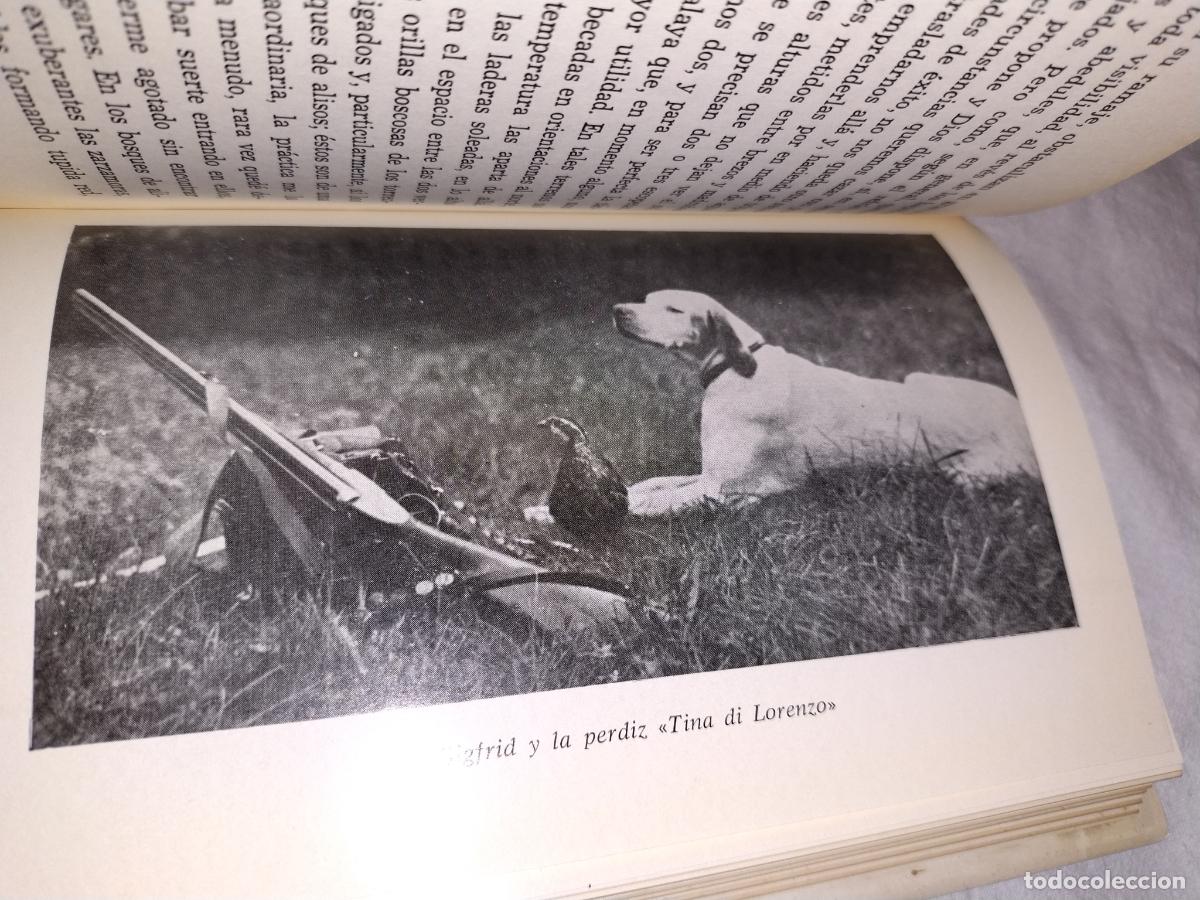 Libros de segunda mano: BECADAS EN CORRIOL - RAFAEL PUGET &bull; A&Ntilde;O 1985 - CAZA. - Foto 7