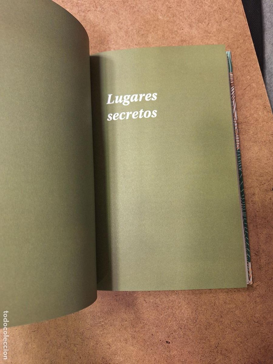 Libros de segunda mano: La buscadora de setas - Long Litt Woon - Foto 4