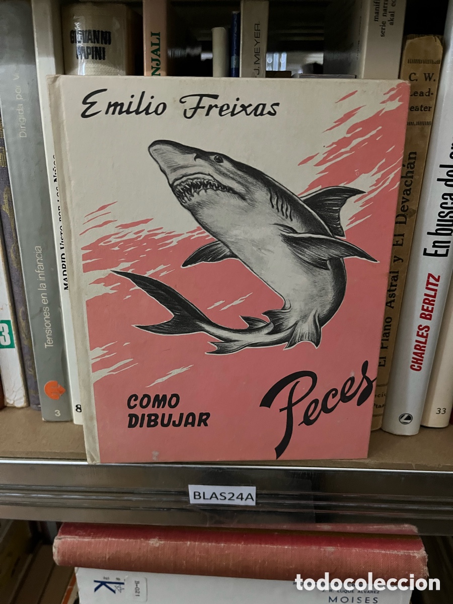 Libros de segunda mano: Blas24A Emilio Freixas. C&oacute;mo dibujar peces - Foto 1