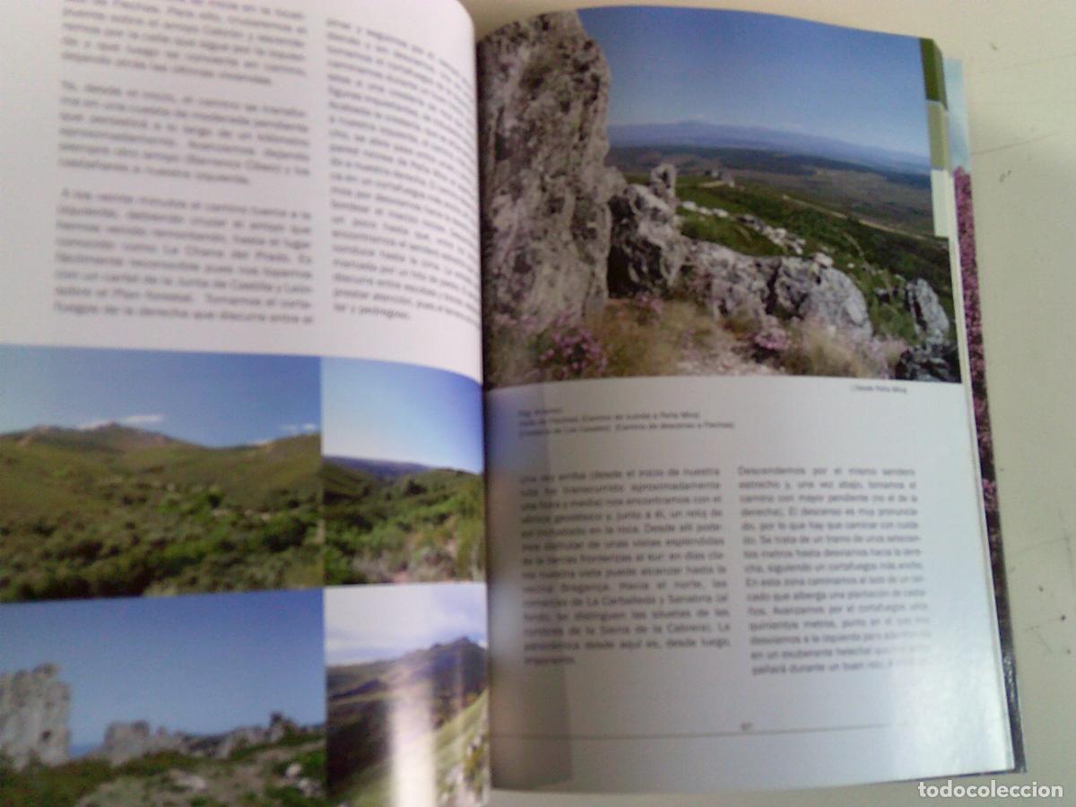 Libros de segunda mano: RONDA JOS&Eacute; PAEZ CARRASCOSA - Foto 2