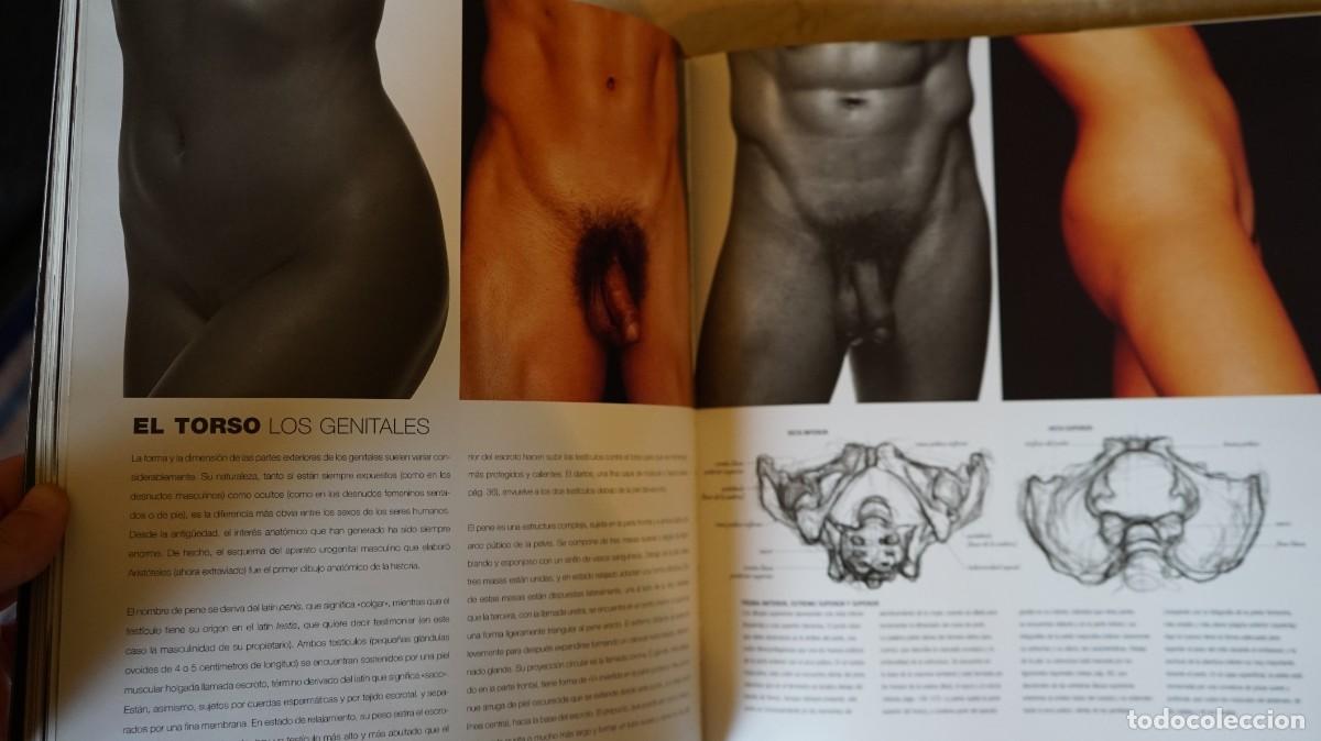 Libros de segunda mano: Simblet, Sarah - Anatom&iacute;a para el artista - Foto 3