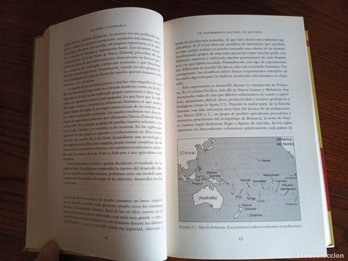 Libros de segunda mano: ARMAS, GERMENES Y ACERO.-JARED DIAMOND. - Foto 6