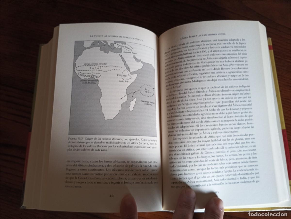 Libros de segunda mano: ARMAS, GERMENES Y ACERO.-JARED DIAMOND. - Foto 8