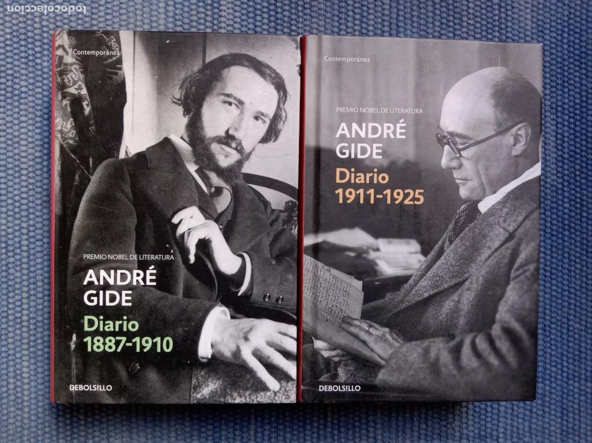 Libros de segunda mano: Gide, Andr&eacute;: Diarios - Foto 1