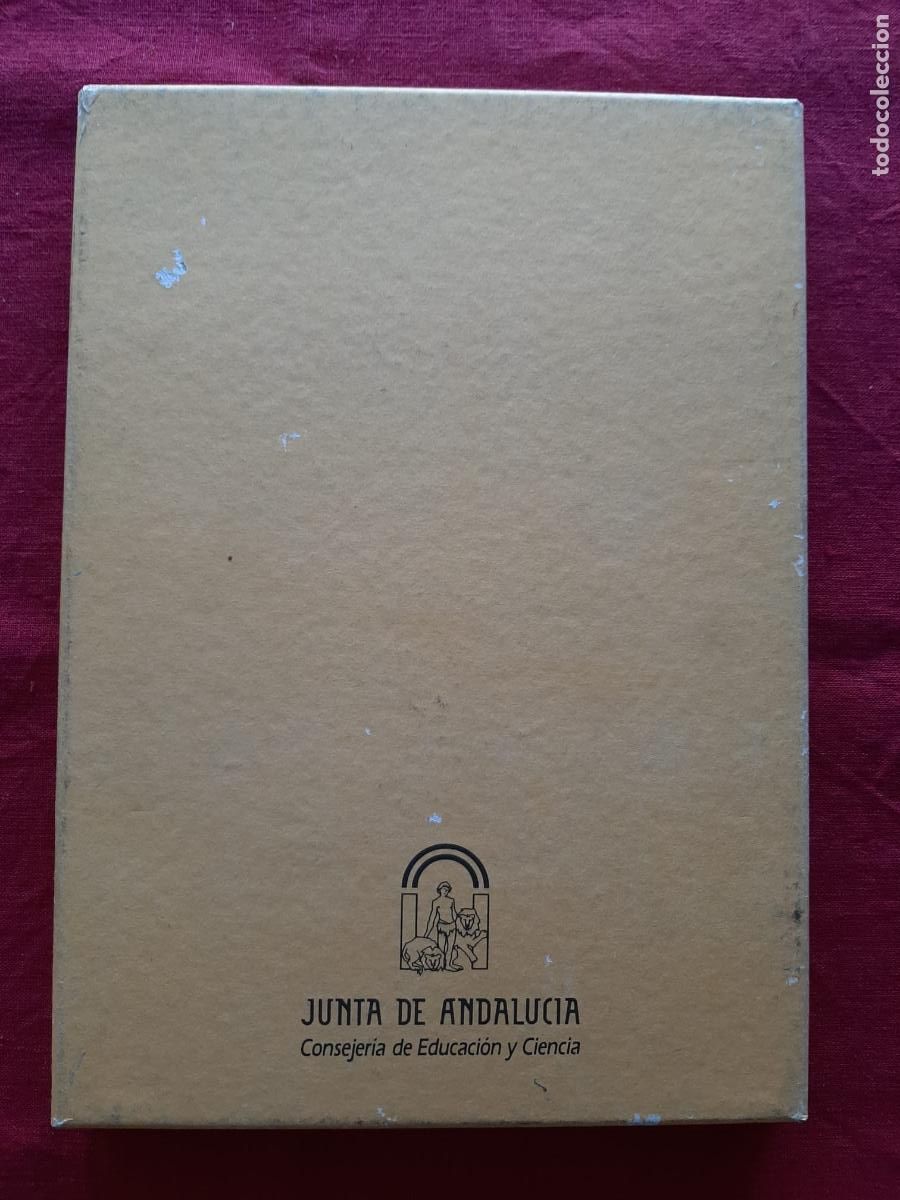 Libros de segunda mano: Andaluc&iacute;a y Am&eacute;rica - Vv. Aa. - Foto 2