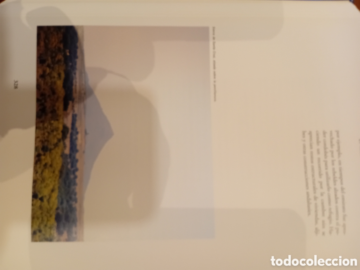 Libros de segunda mano: EL POBLAMIENTO ISLAMICO EN EXTREMADURA - Foto 8