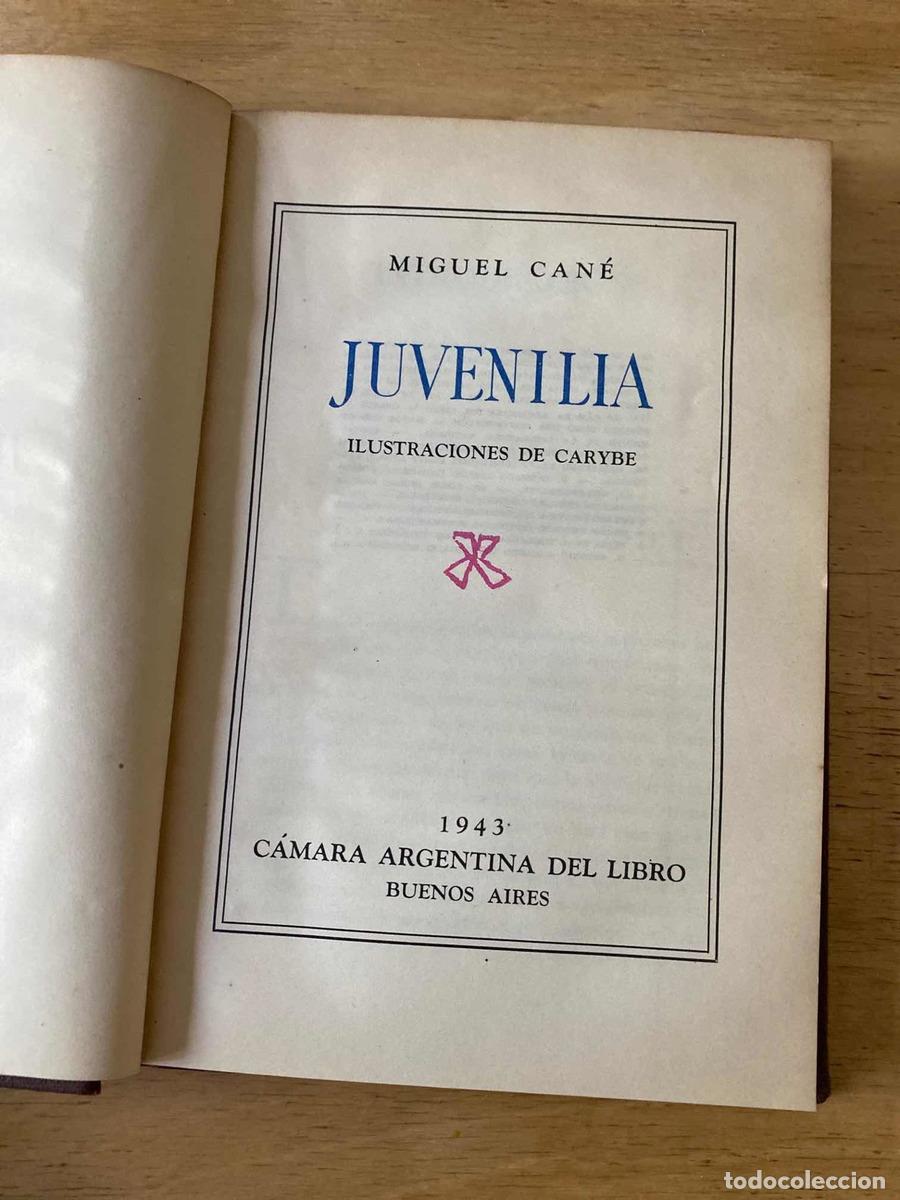 Libros de segunda mano: Juven&iacute;lia - Cane Miguel - Foto 1