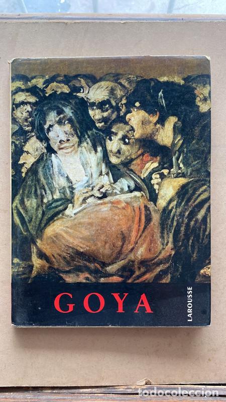 Libros de segunda mano: Goya - Dino Formaggio - Foto 1