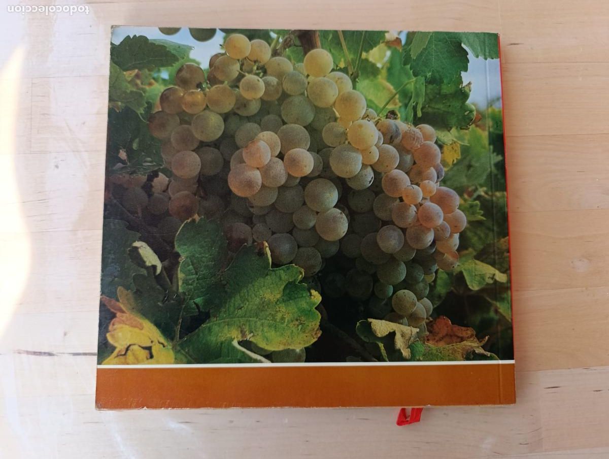 Libros de segunda mano: Los vinos de Castilla y Le&oacute;n. Junta de Castilla y Le&oacute;n. 1982. - Foto 2