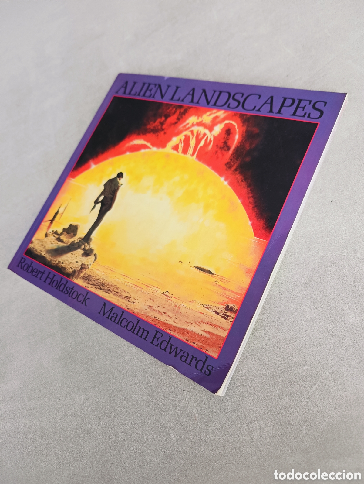 Libros de segunda mano: ALIEN LANDSCAPES DE ROBERT HOLDSTOCK & MALCOM EDWARDS. - Foto 7