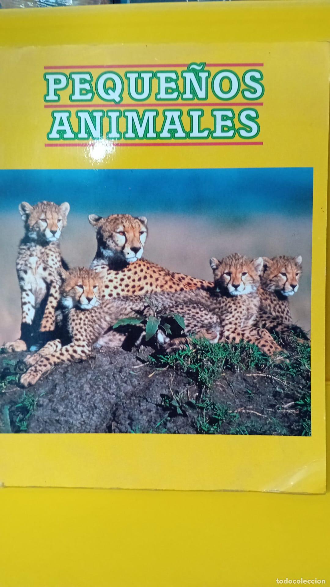 Libros de segunda mano: PEQUE&Ntilde;OS ANIMALES. - Foto 2