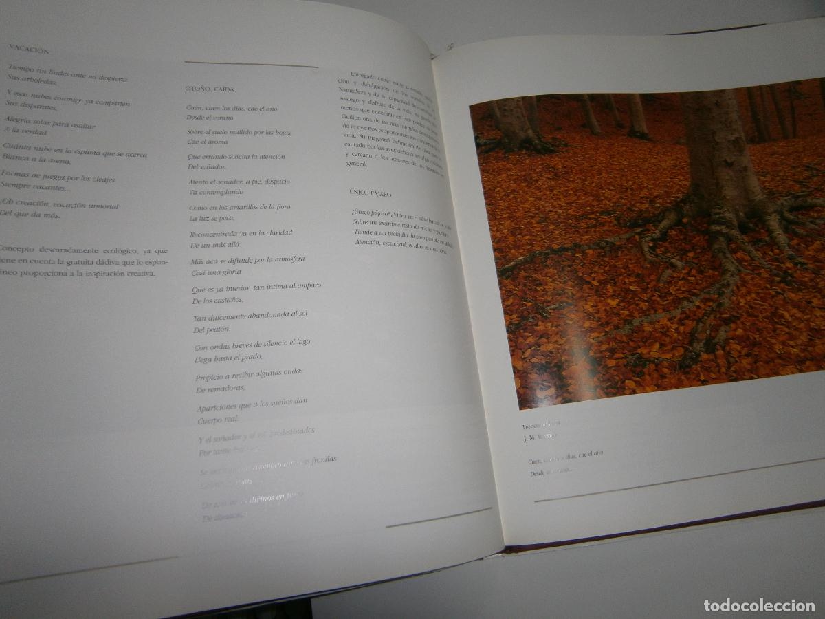 Libros de segunda mano: ESPECTACULAR VOLUMEN LIBRO - ESCRITORES DE LA NATURALEZA - Foto 2