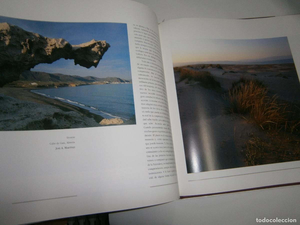 Libros de segunda mano: ESPECTACULAR VOLUMEN LIBRO - ESCRITORES DE LA NATURALEZA - Foto 3