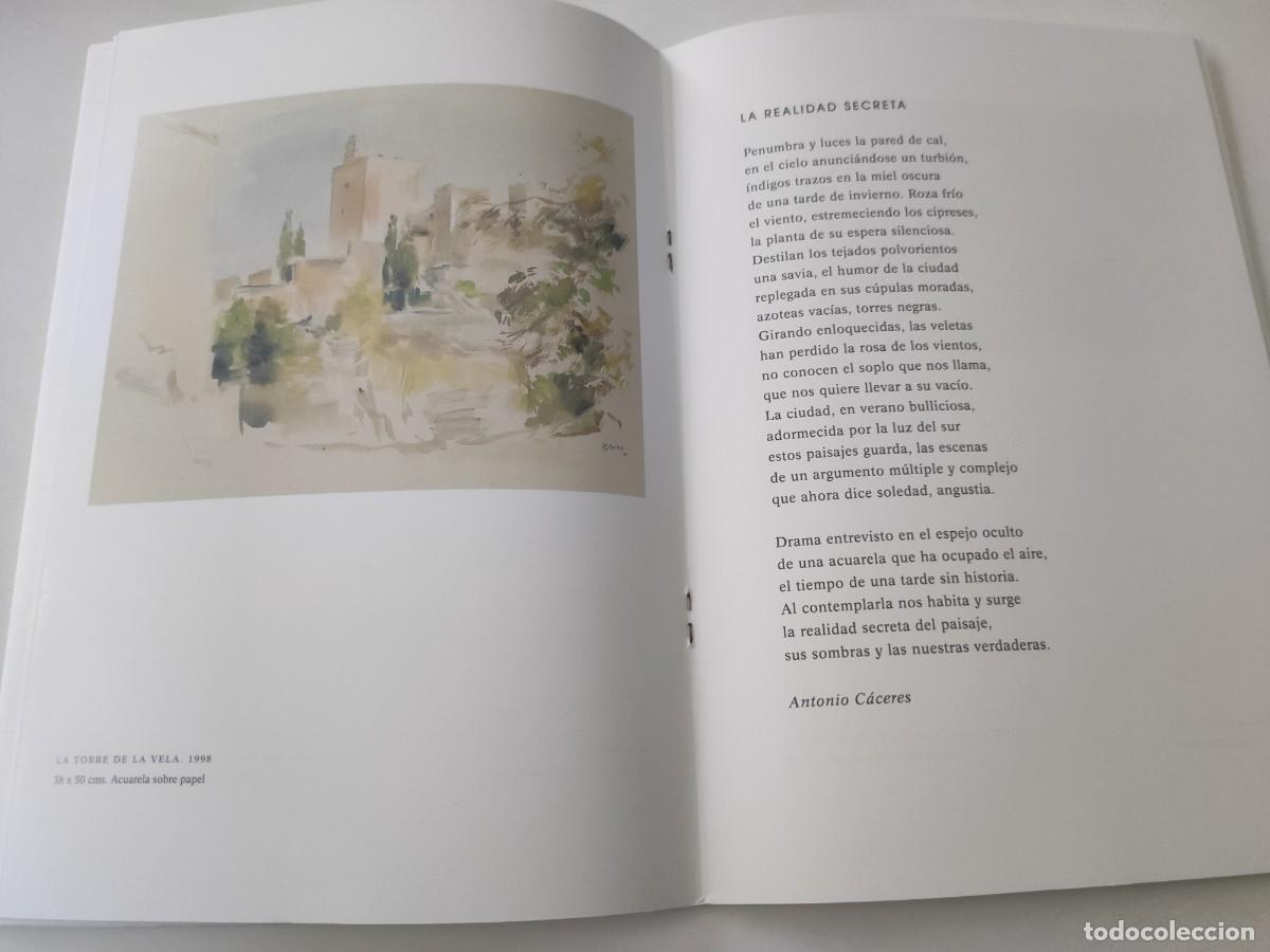 Libros de segunda mano: Pedro Serna. Pinturas. - Foto 4