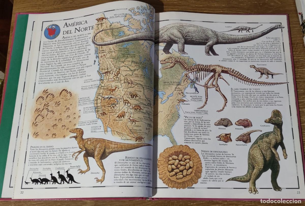 Libros de segunda mano: Atlas Visual de los Dinosaurios (1992) Ed. Bru&ntilde;o - Foto 5